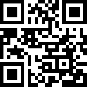 Mini QR